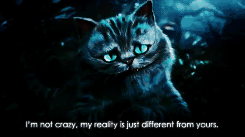 20 умных странностей Чеширского кота
