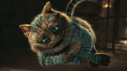 20 умных странностей Чеширского кота