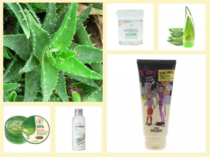 5 косметических средств на основе алоэ вера