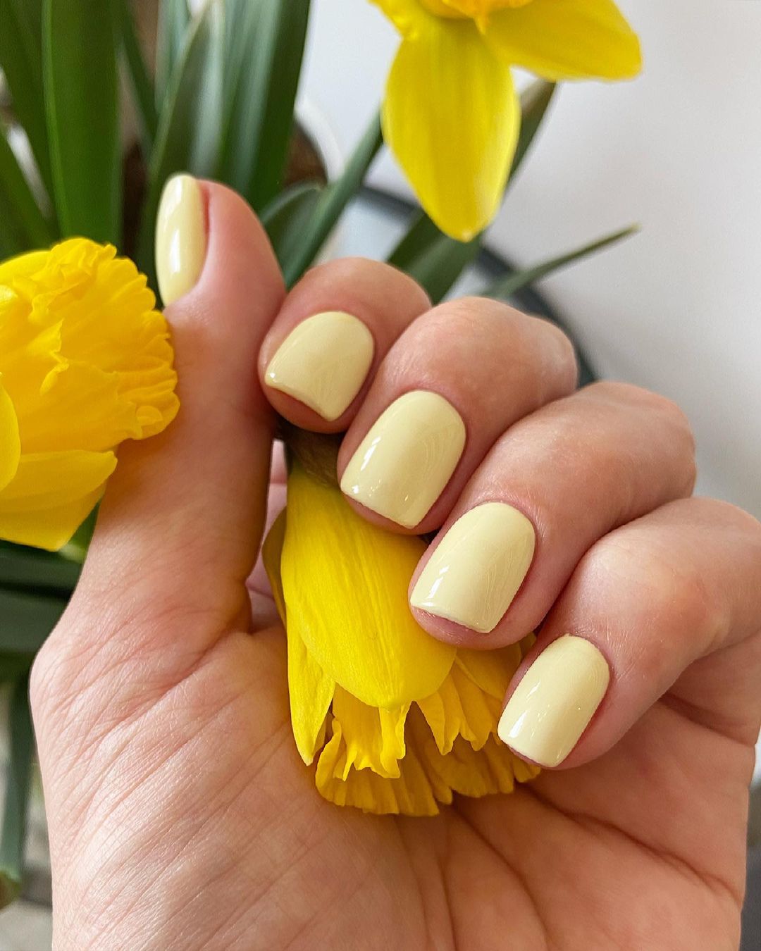 Источник: @salonmanon