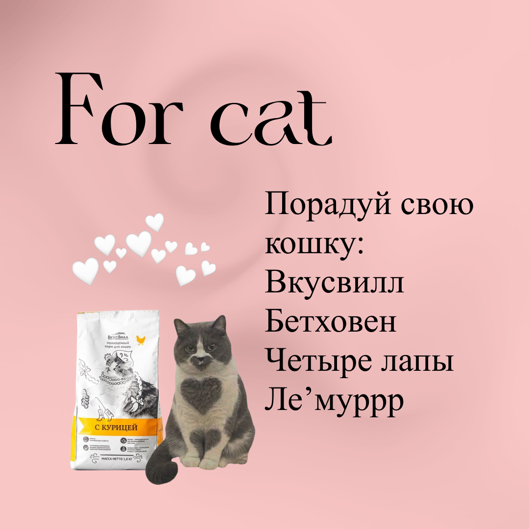 Картинку Твоей Кошки